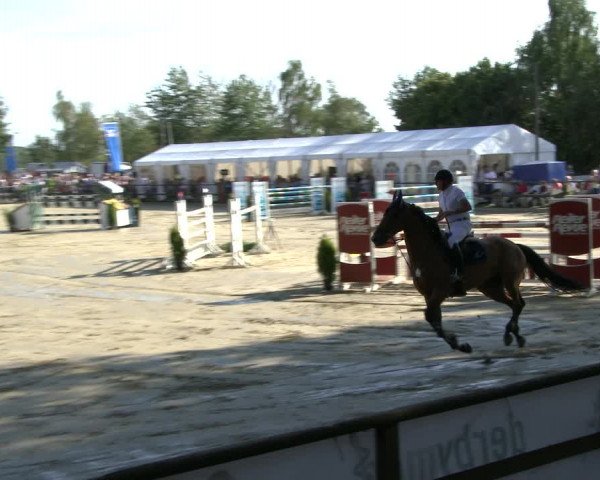 Reitturnier Albersloh 2019