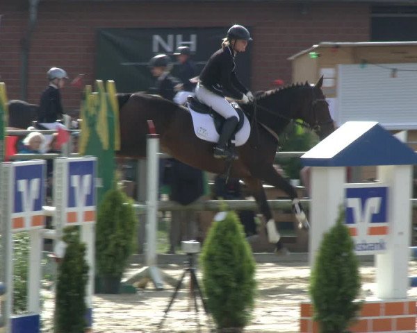 Reitturnier Albersloh 2019