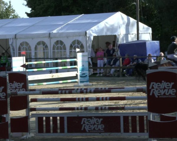 Reitturnier Albersloh 2019