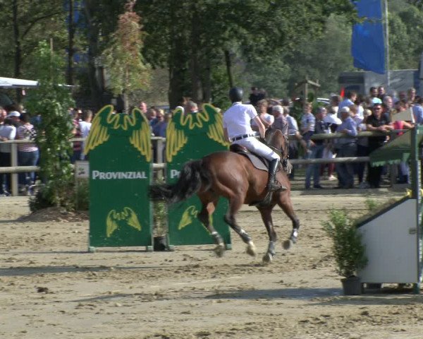 Reitturnier Albersloh 2019