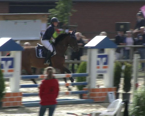 Reitturnier Albersloh 2019