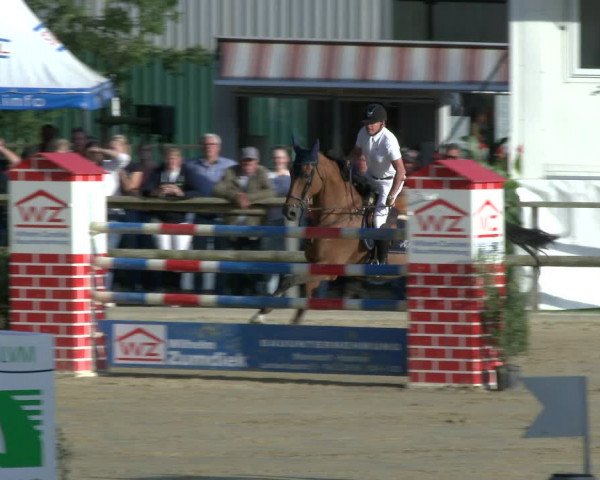 Reitturnier Albersloh 2019