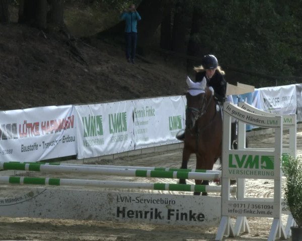 Reitturnier Albersloh 2019