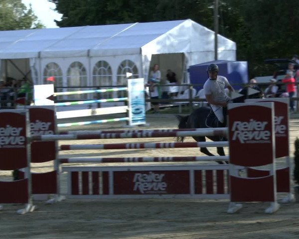Reitturnier Albersloh 2019