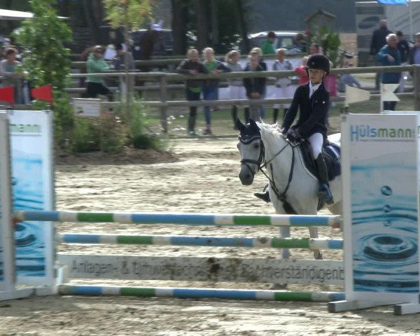 Reitturnier Albersloh 2019
