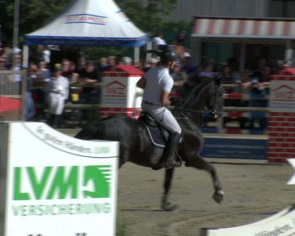 Reitturnier Albersloh 2019