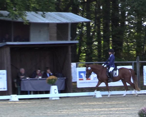 Reitturnier Meinerzhagen 2019
