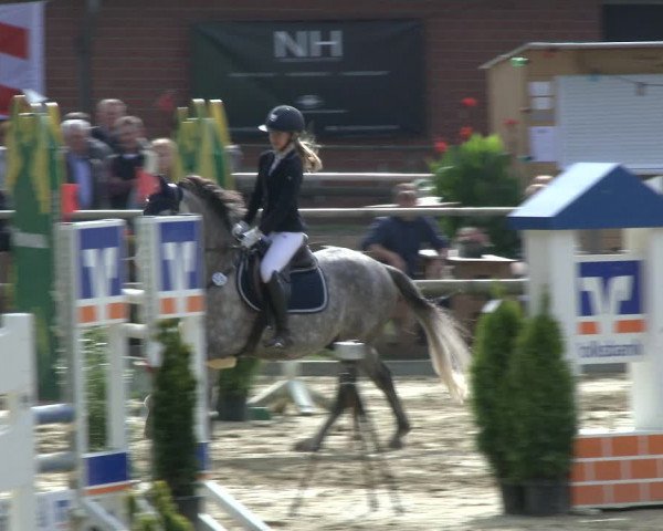Reitturnier Albersloh 2019