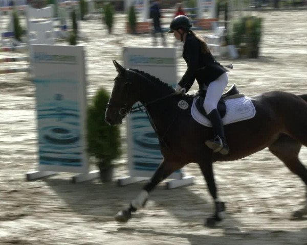 Reitturnier Albersloh 2019