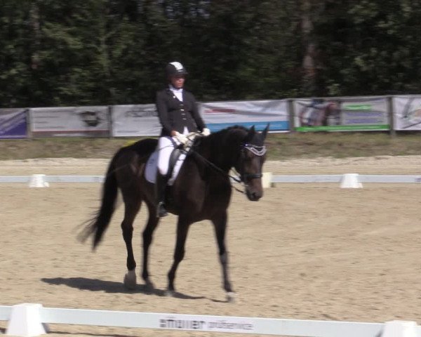 Reitturnier Meinerzhagen 2019
