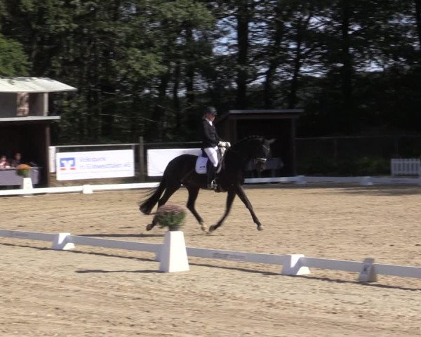 Reitturnier Meinerzhagen 2019