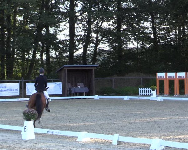 Reitturnier Meinerzhagen 2019