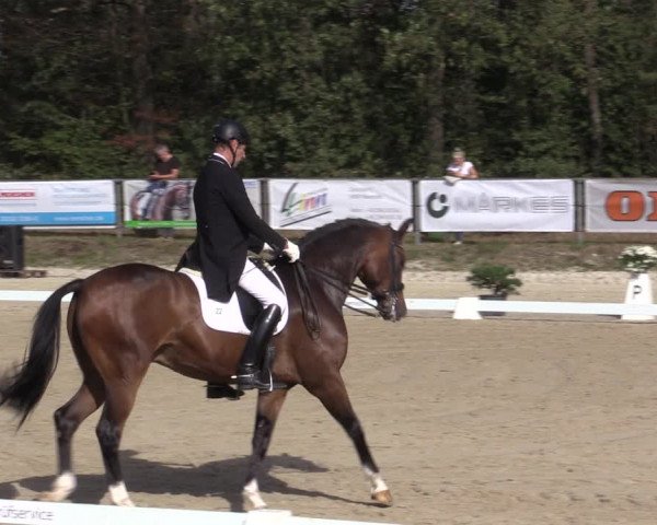 Reitturnier Meinerzhagen 2019