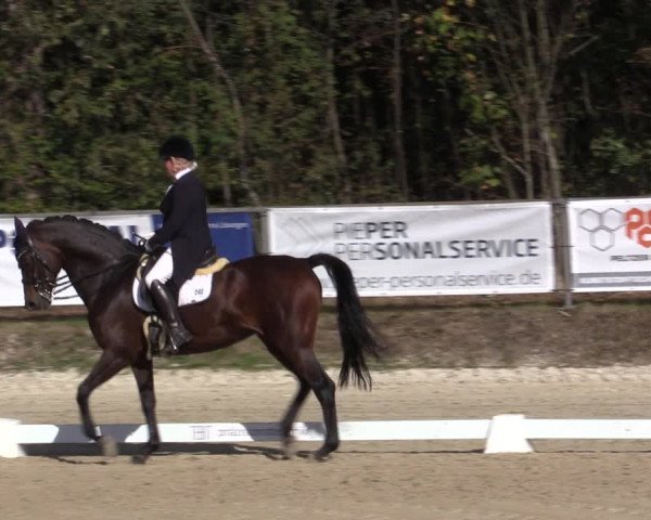 Reitturnier Meinerzhagen 2019
