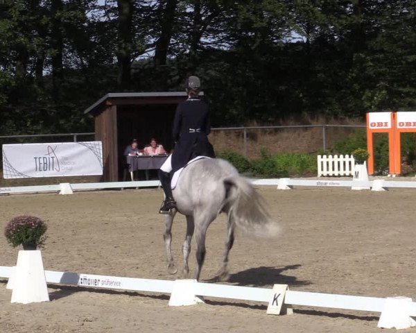 Reitturnier Meinerzhagen 2019