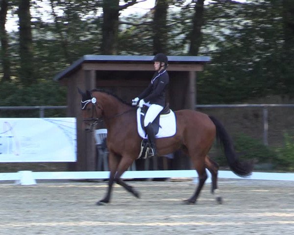 Reitturnier Meinerzhagen 2019