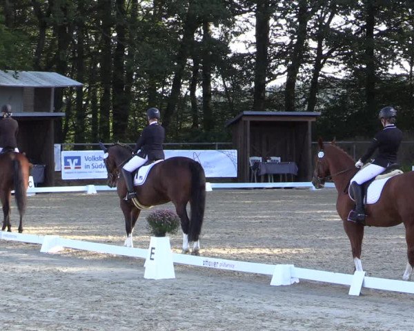 Reitturnier Meinerzhagen 2019