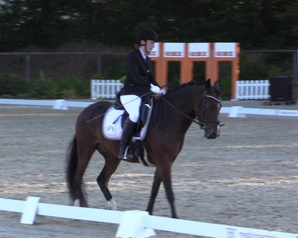 Reitturnier Meinerzhagen 2019