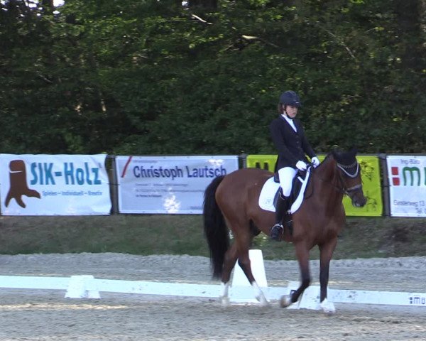 Reitturnier Meinerzhagen 2019