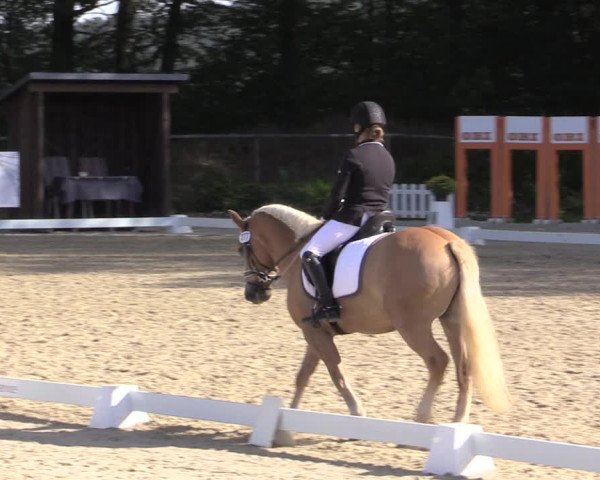Reitturnier Meinerzhagen 2019