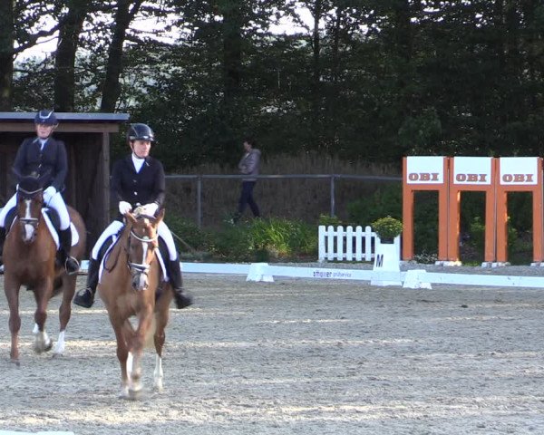 Reitturnier Meinerzhagen 2019