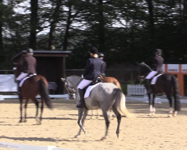 Reitturnier Meinerzhagen 2019