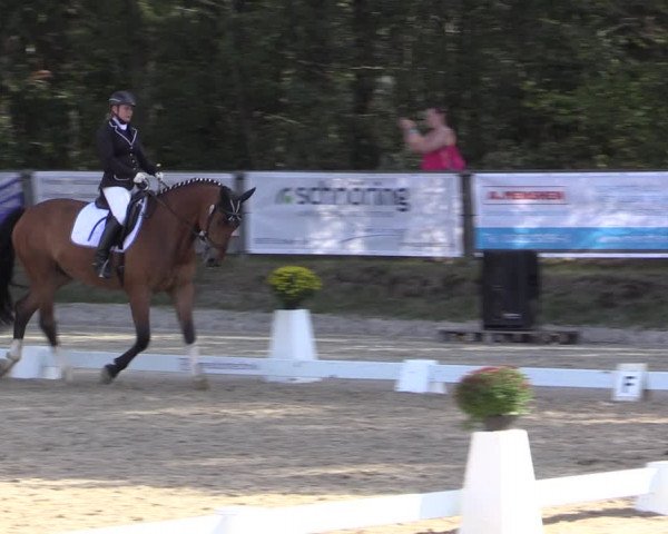 Reitturnier Meinerzhagen 2019