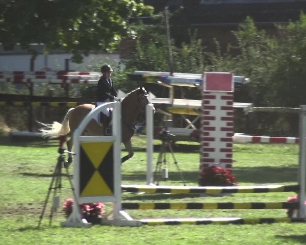 Reitturnier Würselen-Pley 2019