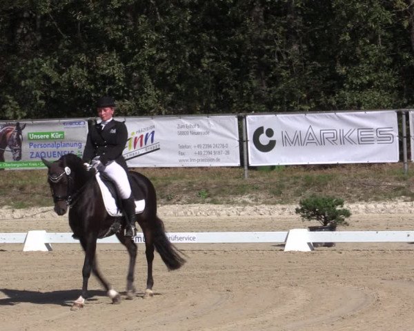 Reitturnier Meinerzhagen 2019