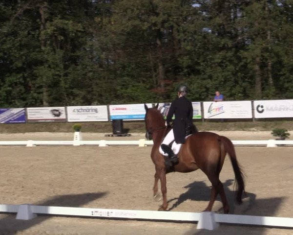 Reitturnier Meinerzhagen 2019