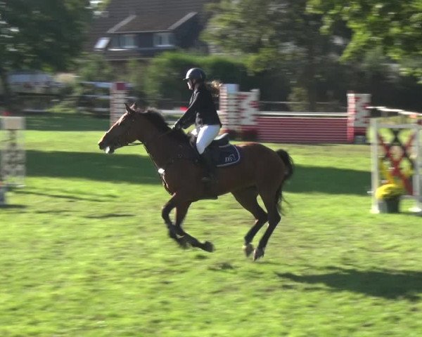 Reitturnier Würselen-Pley 2019