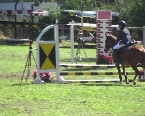 Reitturnier Würselen-Pley 2019