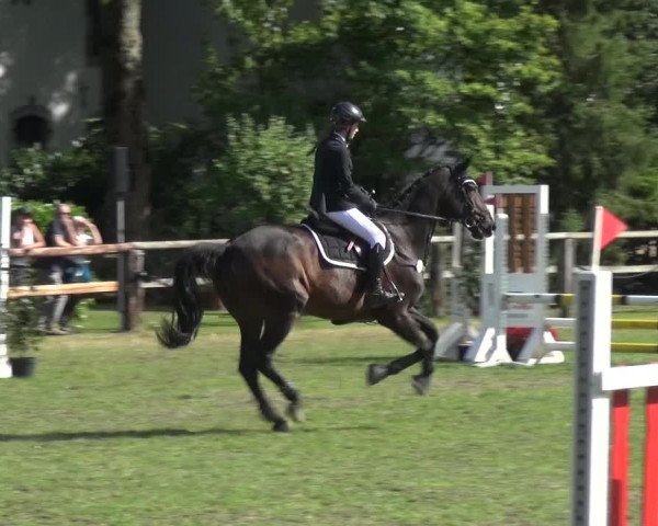 Reitturnier Würselen-Pley 2019