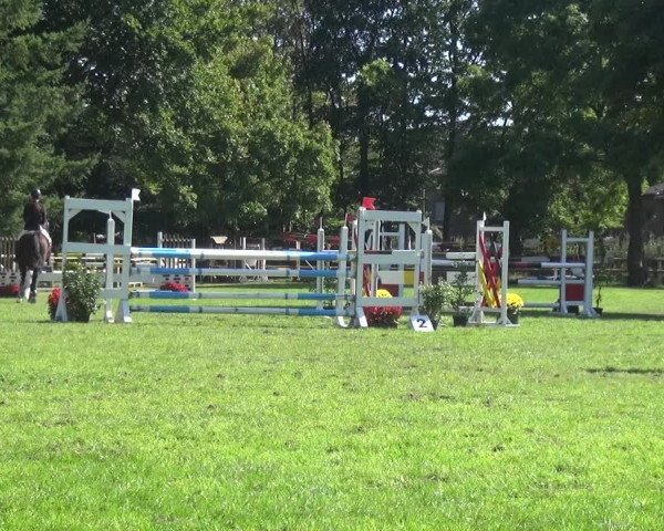 Reitturnier Würselen-Pley 2019