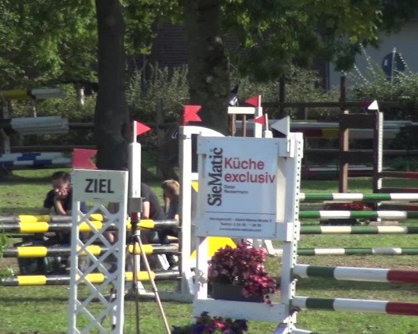 Reitturnier Würselen-Pley 2019