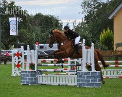 Cavallo da salto Marcel de L'Oasis (Zangersheide Reitpferd, 2010, di Monsum)