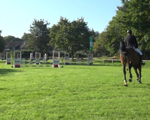 Reitturnier Würselen-Pley 2019