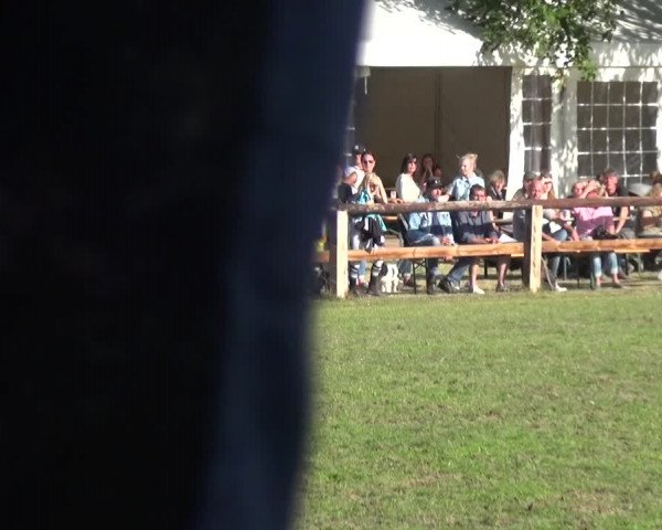 Reitturnier Würselen-Pley 2019
