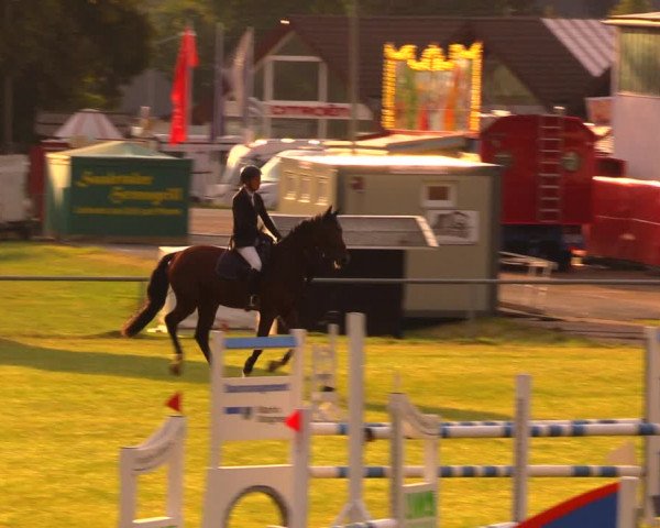 Reitturnier Altmittweida 2019