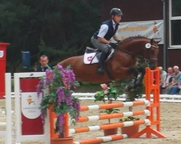 stallion Skyfall 32 (Hanoverian, 2011, from Stakkato)