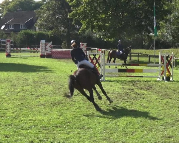 Reitturnier Würselen-Pley 2019