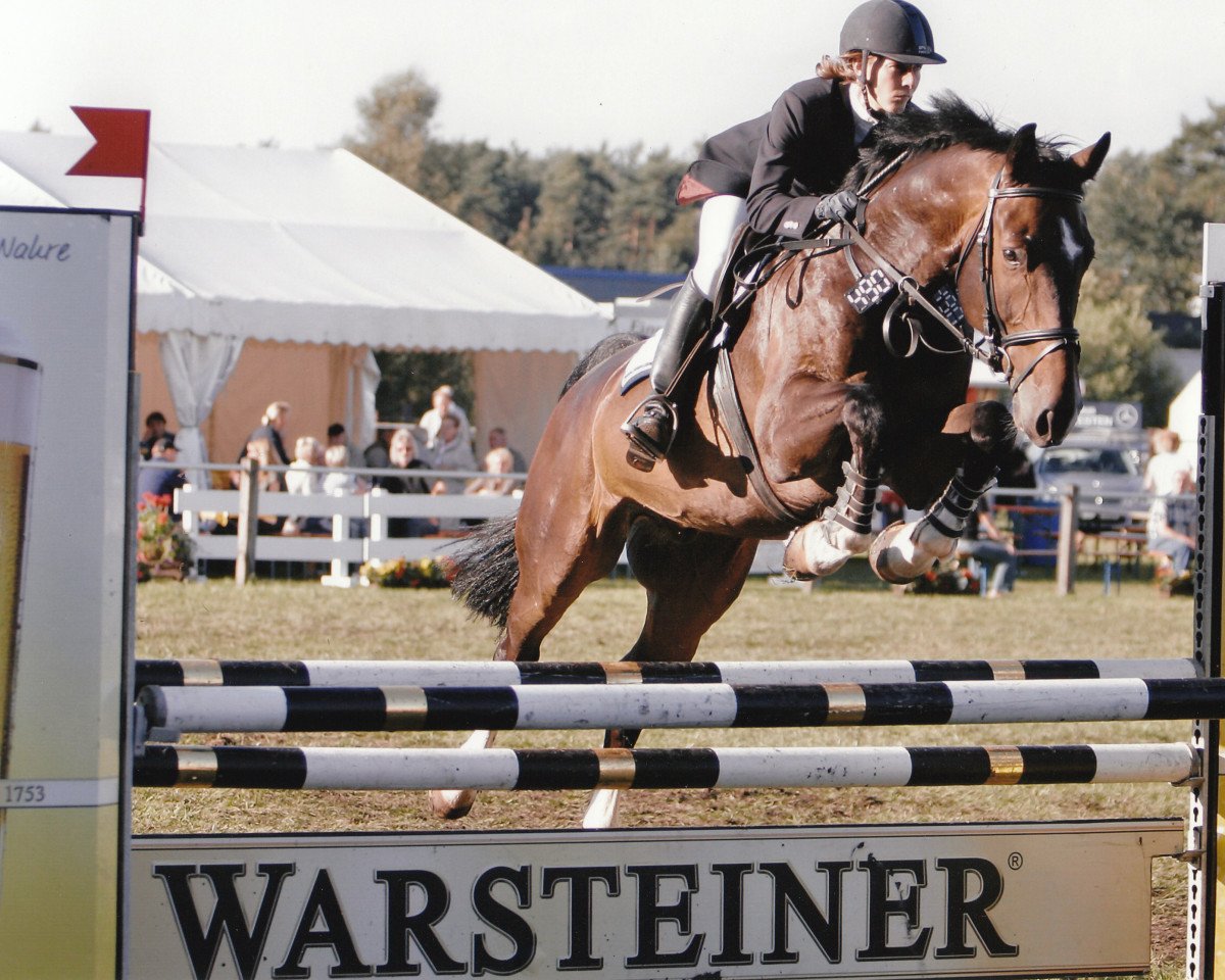 jumper Luke H.-P. (Westphalian, 2000, from Lancer III)