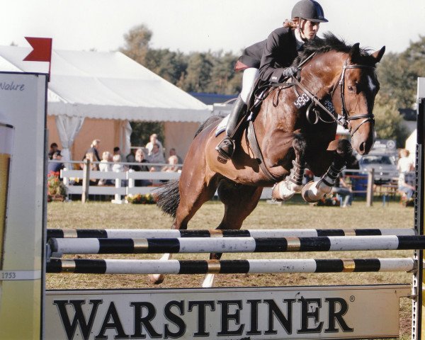 horse Luke H.-P. (Westphalian, 2000, from Lancer III)