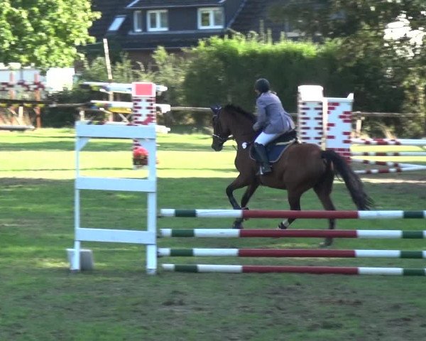 Reitturnier Würselen-Pley 2019