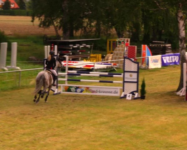 Reitturnier Altmittweida 2019