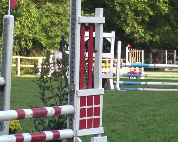 Reitturnier Würselen-Pley 2019