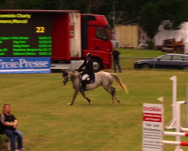Reitturnier Altmittweida 2019