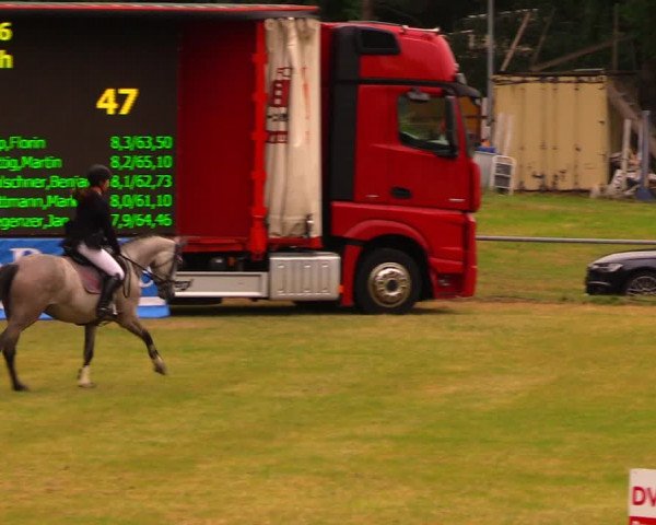 Reitturnier Altmittweida 2019