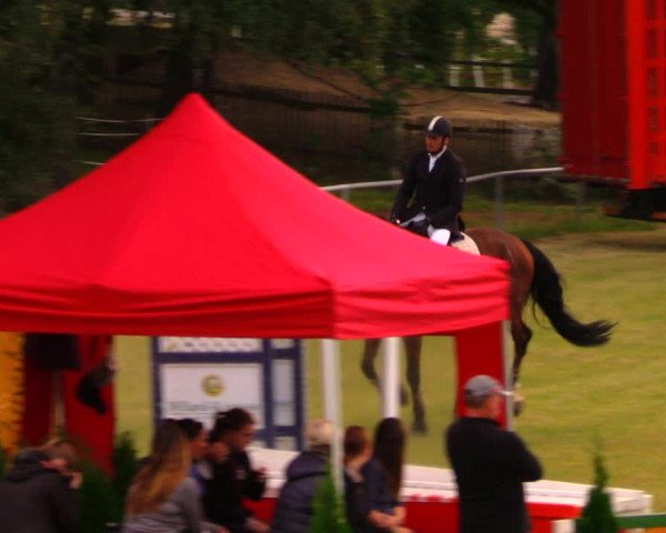Reitturnier Altmittweida 2019