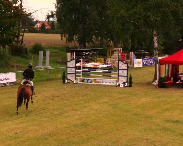 Reitturnier Altmittweida 2019